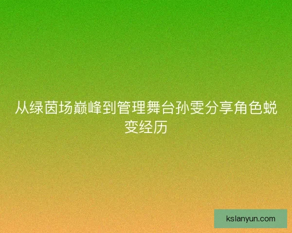 从绿茵场巅峰到管理舞台孙雯分享角色蜕变经历 从绿茵场巅峰到管理舞台孙雯分享角色蜕变经历